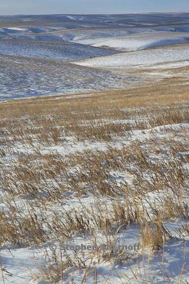snowy landscape south dakota 3 graphic